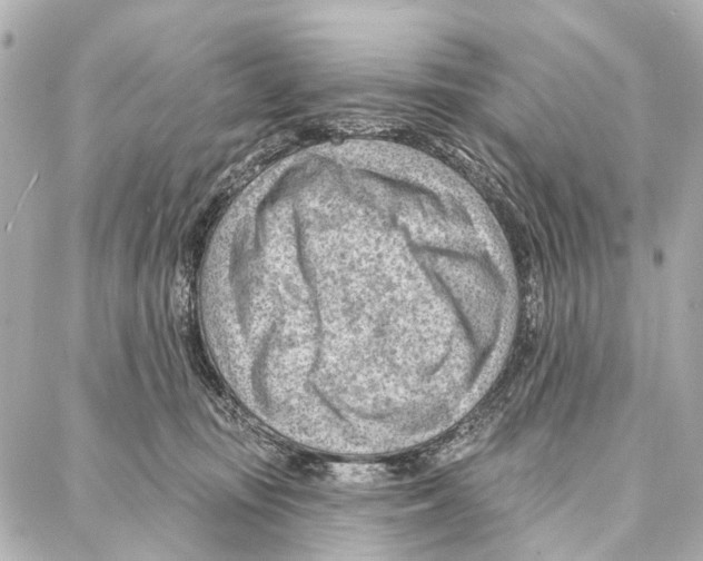 X0000086980371200705141722