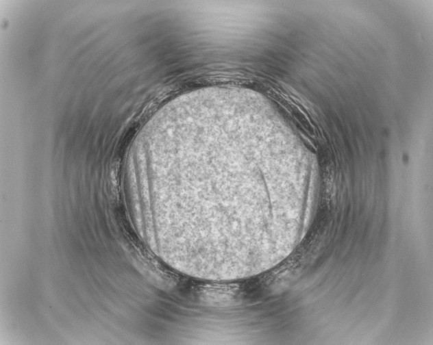 X0000086980373200705141722