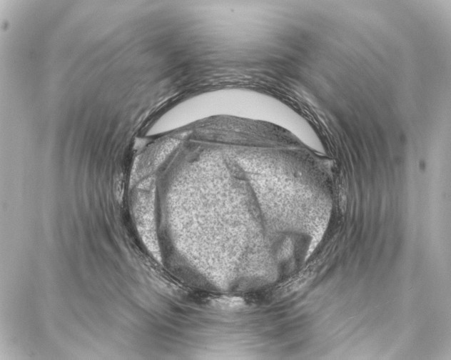 X0000086980374200705141722