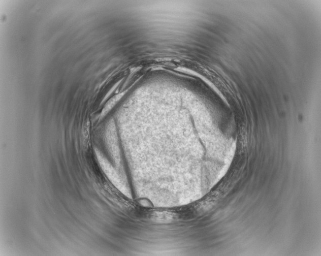 X0000086980376200705141722