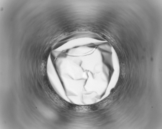 X0000086980378200705141722