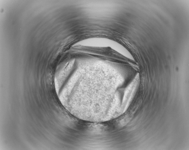 X0000086980379200705141722