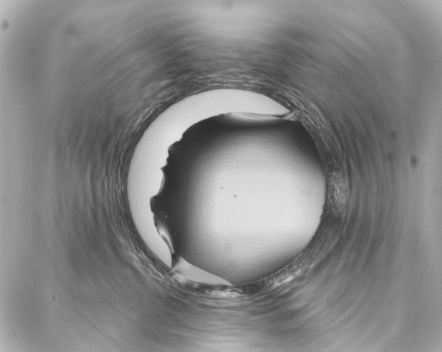 X0000086980380200705141722