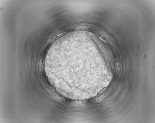 X0000086980381200705141722