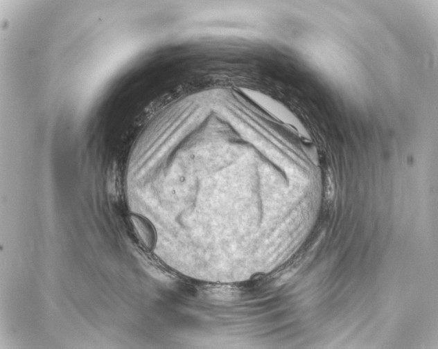 X0000086980383200705141722