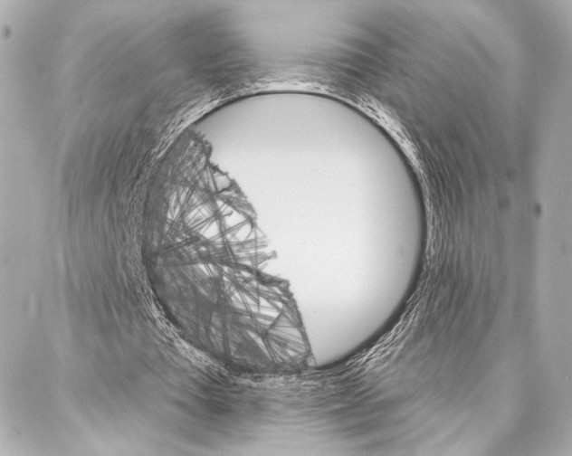 X0000086980385200705141721