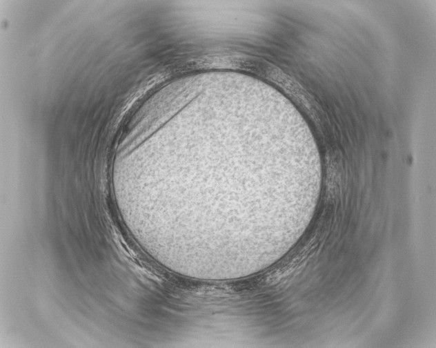 X0000086980386200705141721