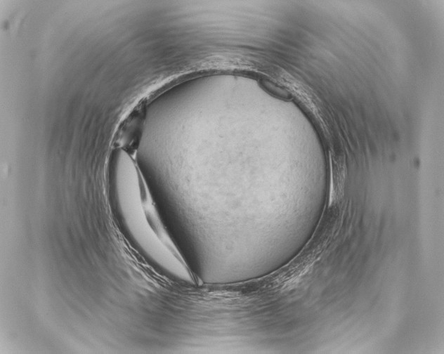 X0000086980387200705141721