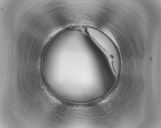 X0000086980389200705141721