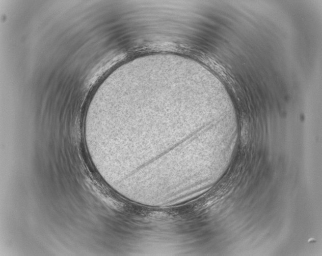 X0000086980390200705141721