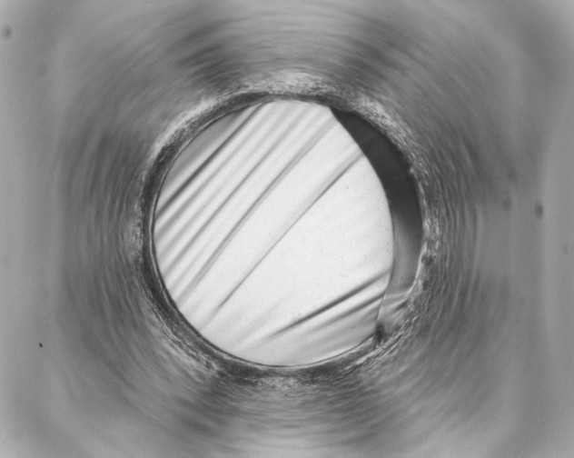 X0000086980392200705141721