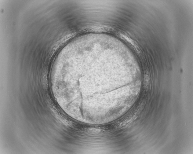 X0000086980394200705141721