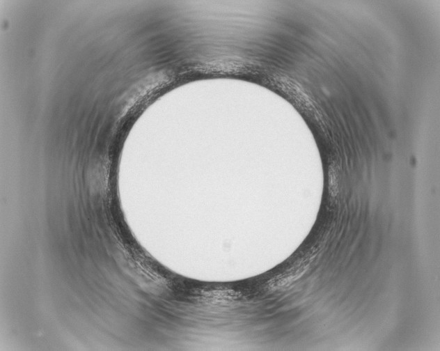 X0000086980396200705141721