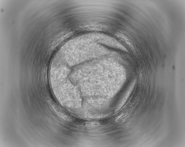 X0000086980398200705141721