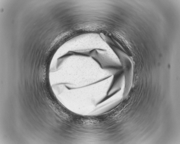 X0000086980400200705141721