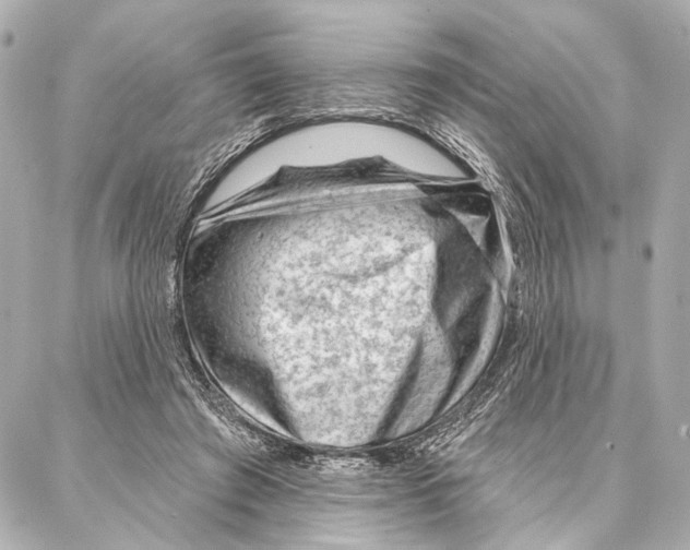 X0000086980401200705141721