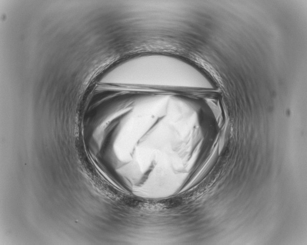 X0000086980403200705141721