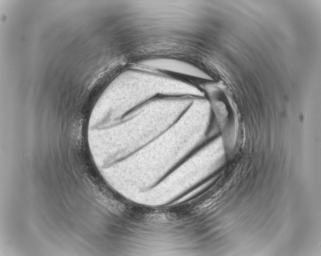 X0000086980404200705141721