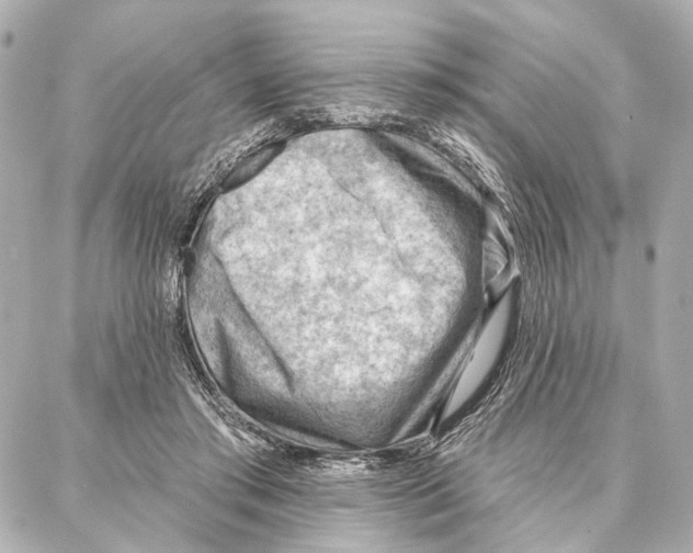 X0000086980405200705141721