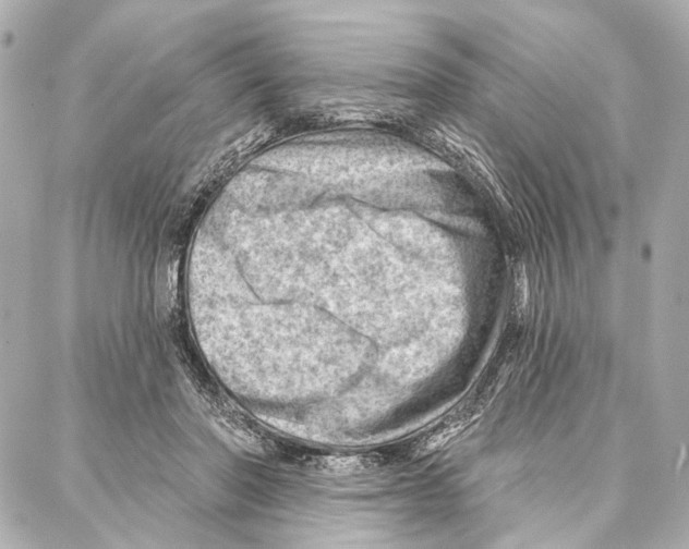 X0000086980406200705141721