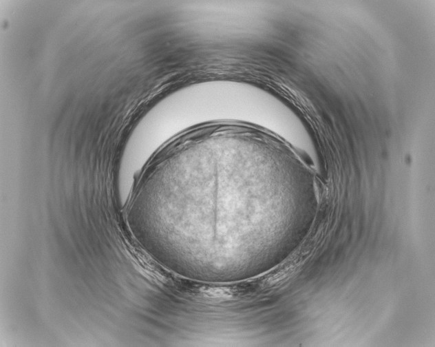 X0000086980409200705141721