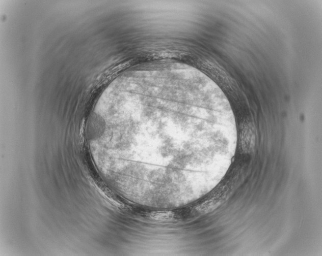 X0000086980410200705141721