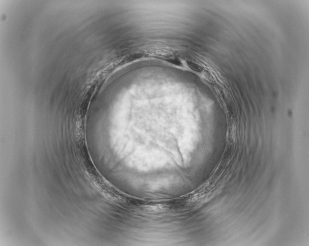 X0000086980411200705141721