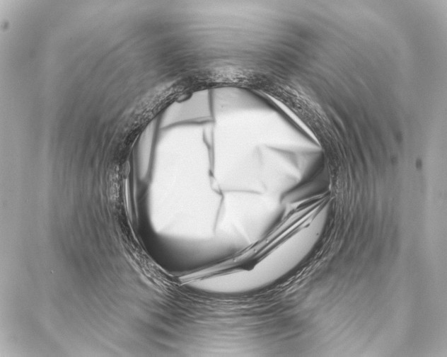 X0000086980413200705141721