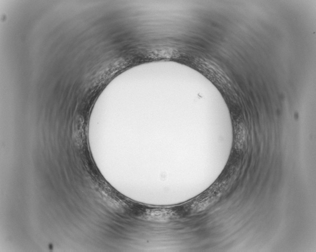 X0000086980414200705141721