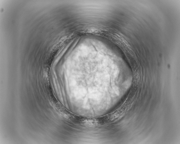 X0000086980415200705141721