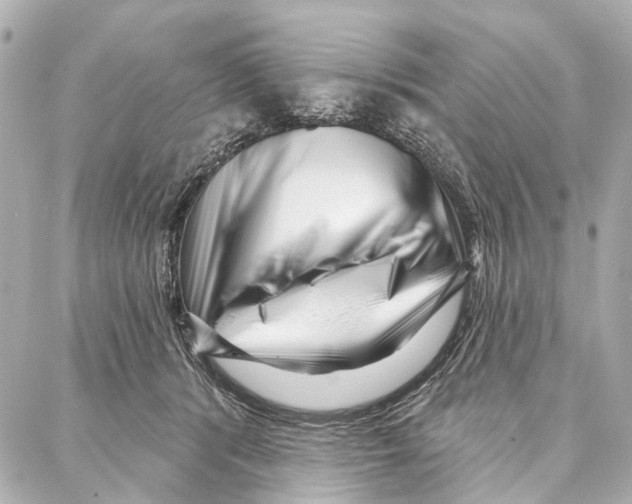 X0000086980416200705141721