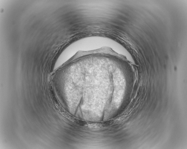 X0000086980417200705141721