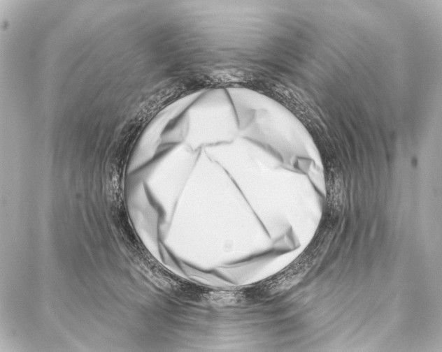 X0000086980418200705141721