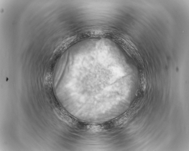 X0000086980419200705141721