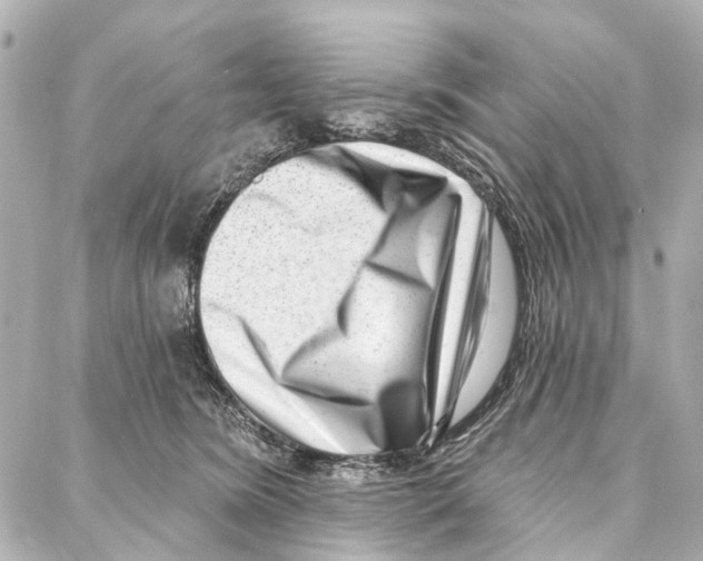 X0000086980420200705141721