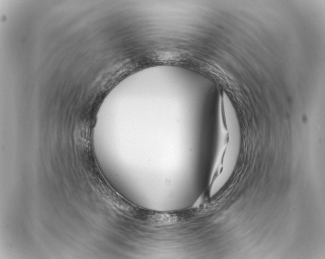 X0000086980421200705141721