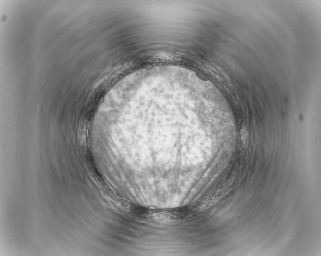 X0000086980423200705141720