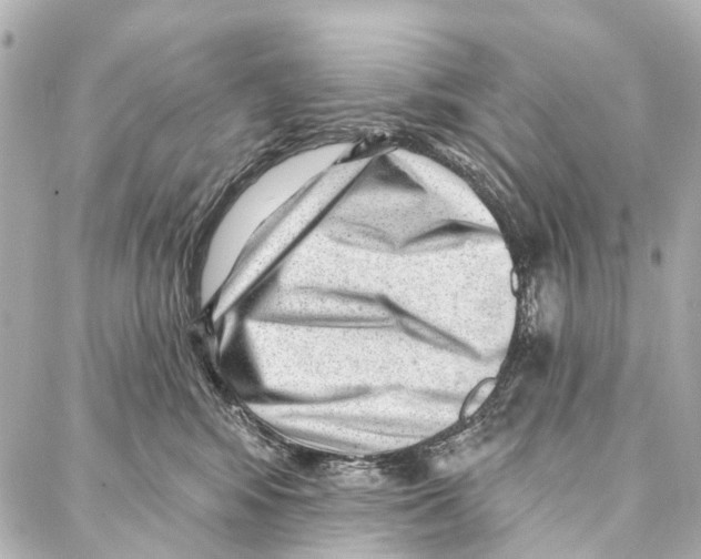 X0000086980424200705141720