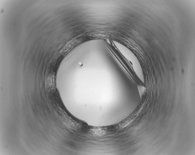 X0000086980425200705141720