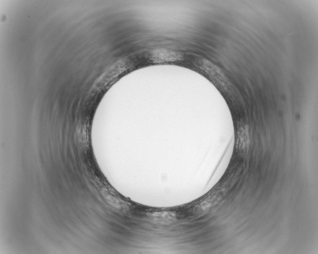 X0000086980426200705141720