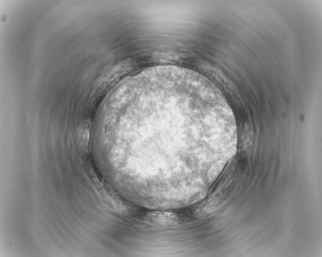 X0000086980427200705141720