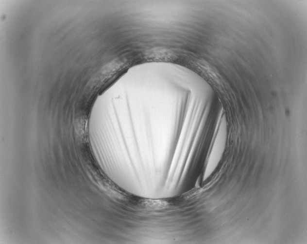 X0000086980429200705141720