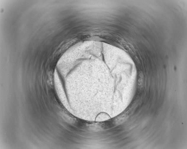 X0000086980430200705141720