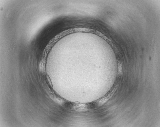 X0000086980431200705141720