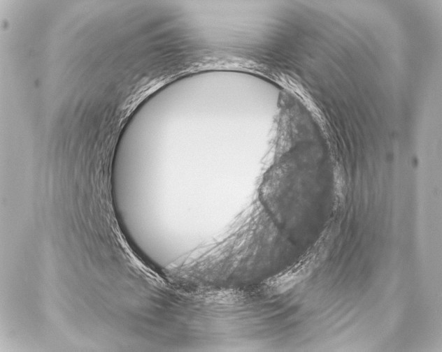 X0000086980433200705141720