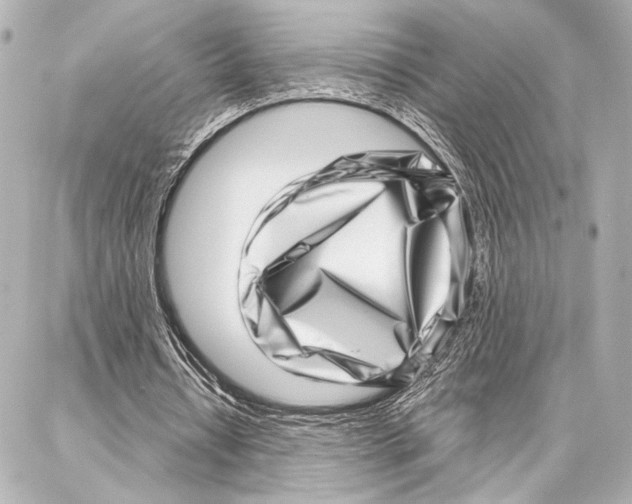 X0000086980434200705141720