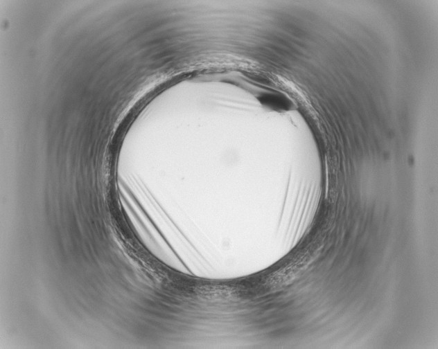 X0000086980435200705141720