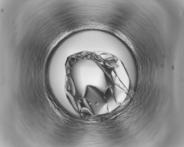 X0000086980436200705141720