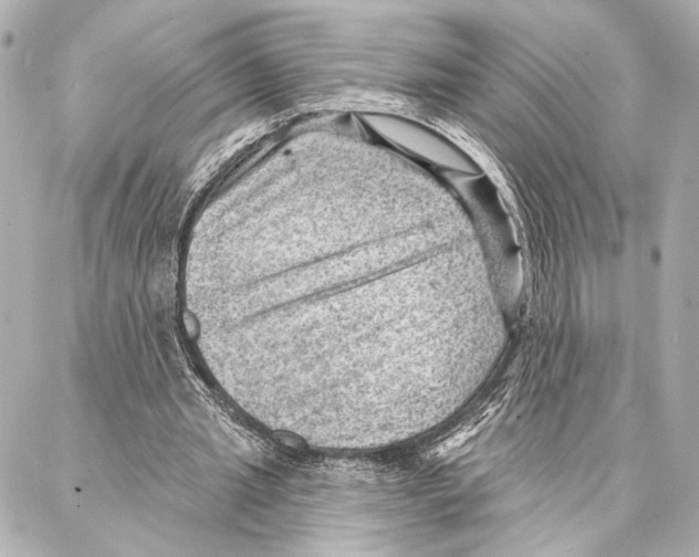 X0000086980437200705141720