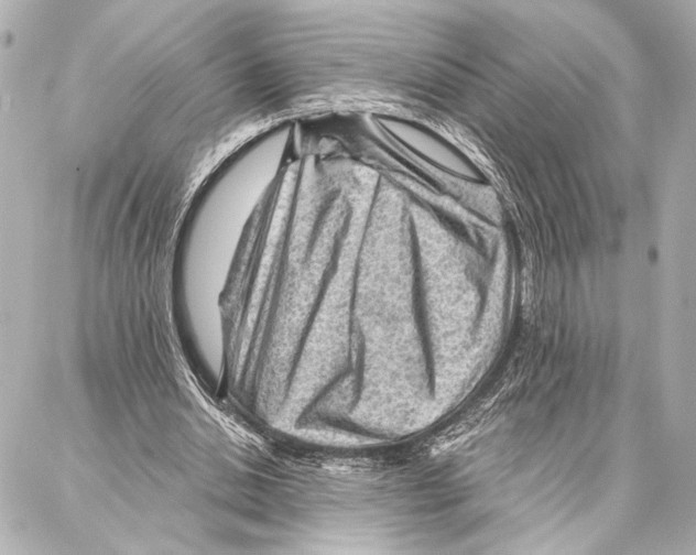 X0000086980438200705141720